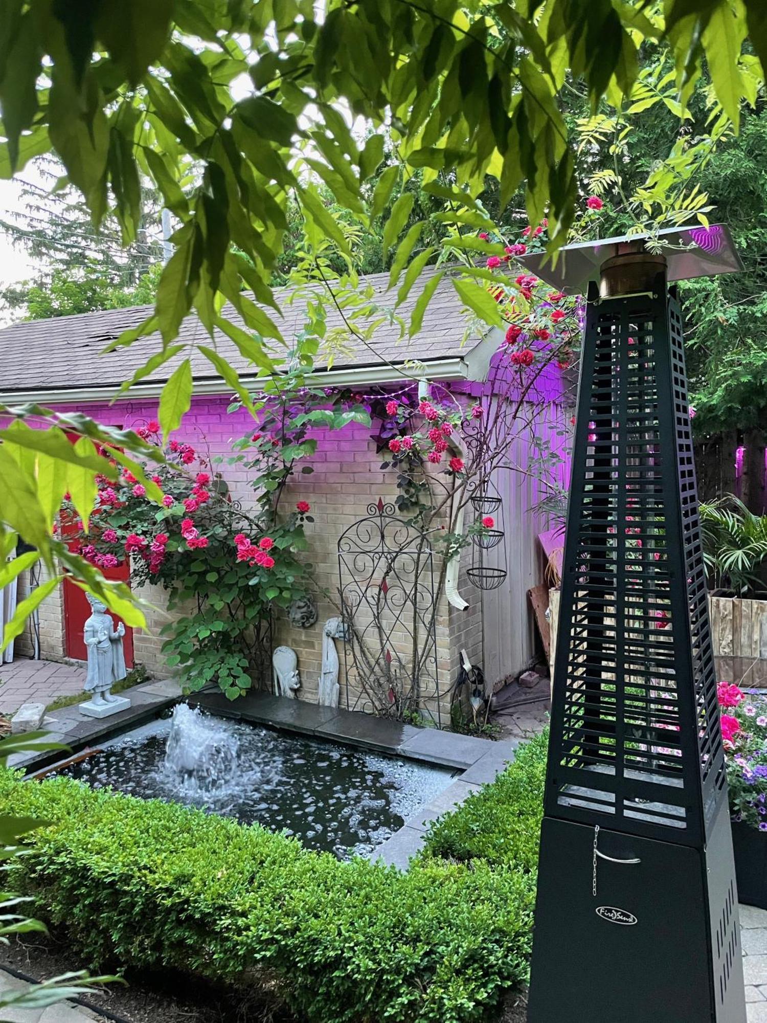 Norfolk Guest House Inn グエルフ エクステリア 写真