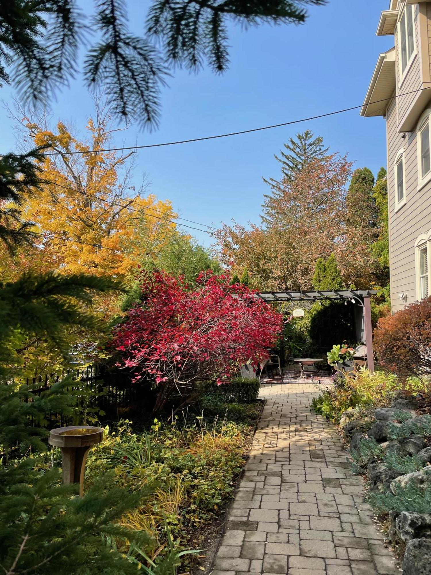 Norfolk Guest House Inn グエルフ エクステリア 写真