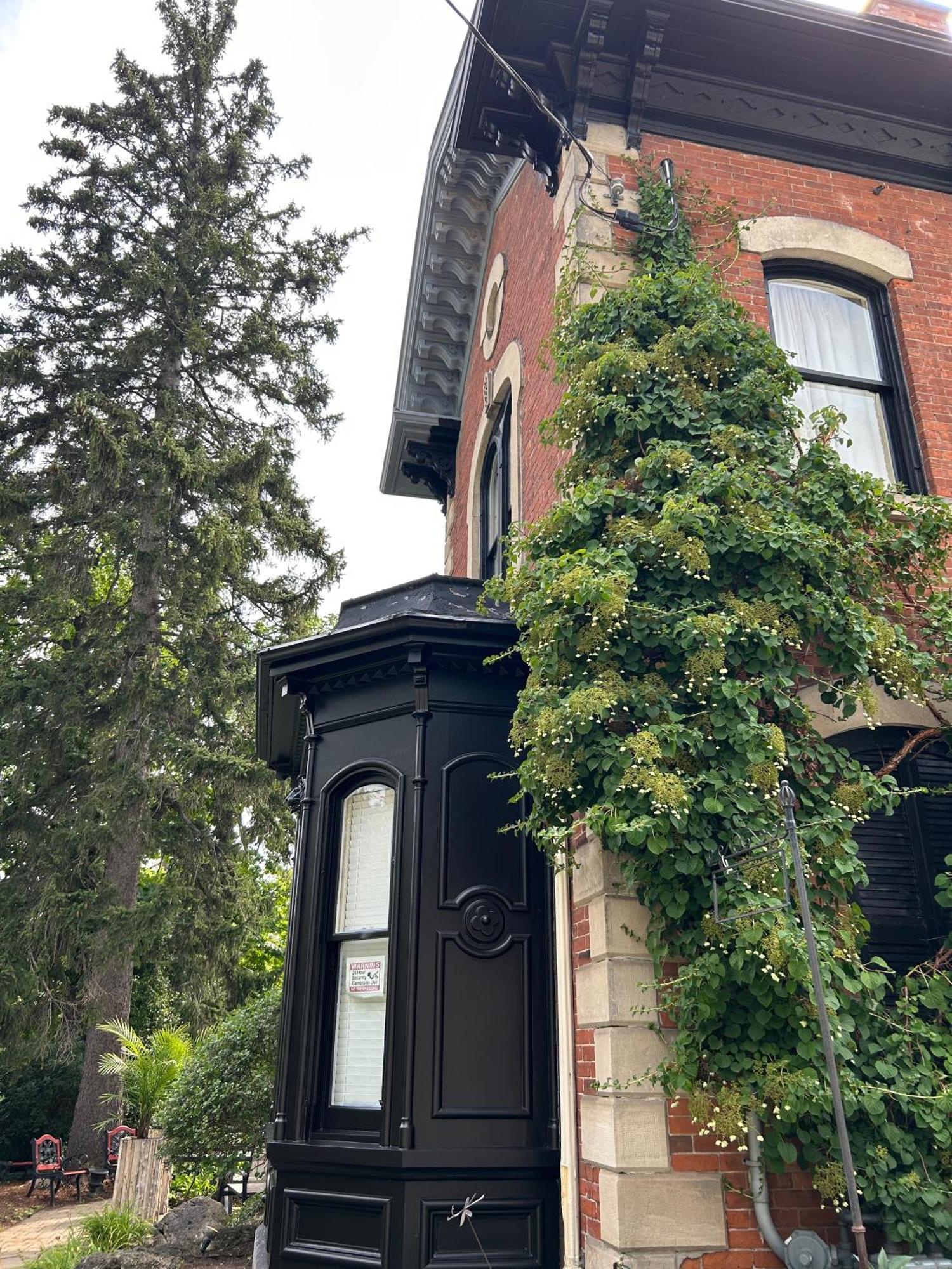 Norfolk Guest House Inn グエルフ エクステリア 写真