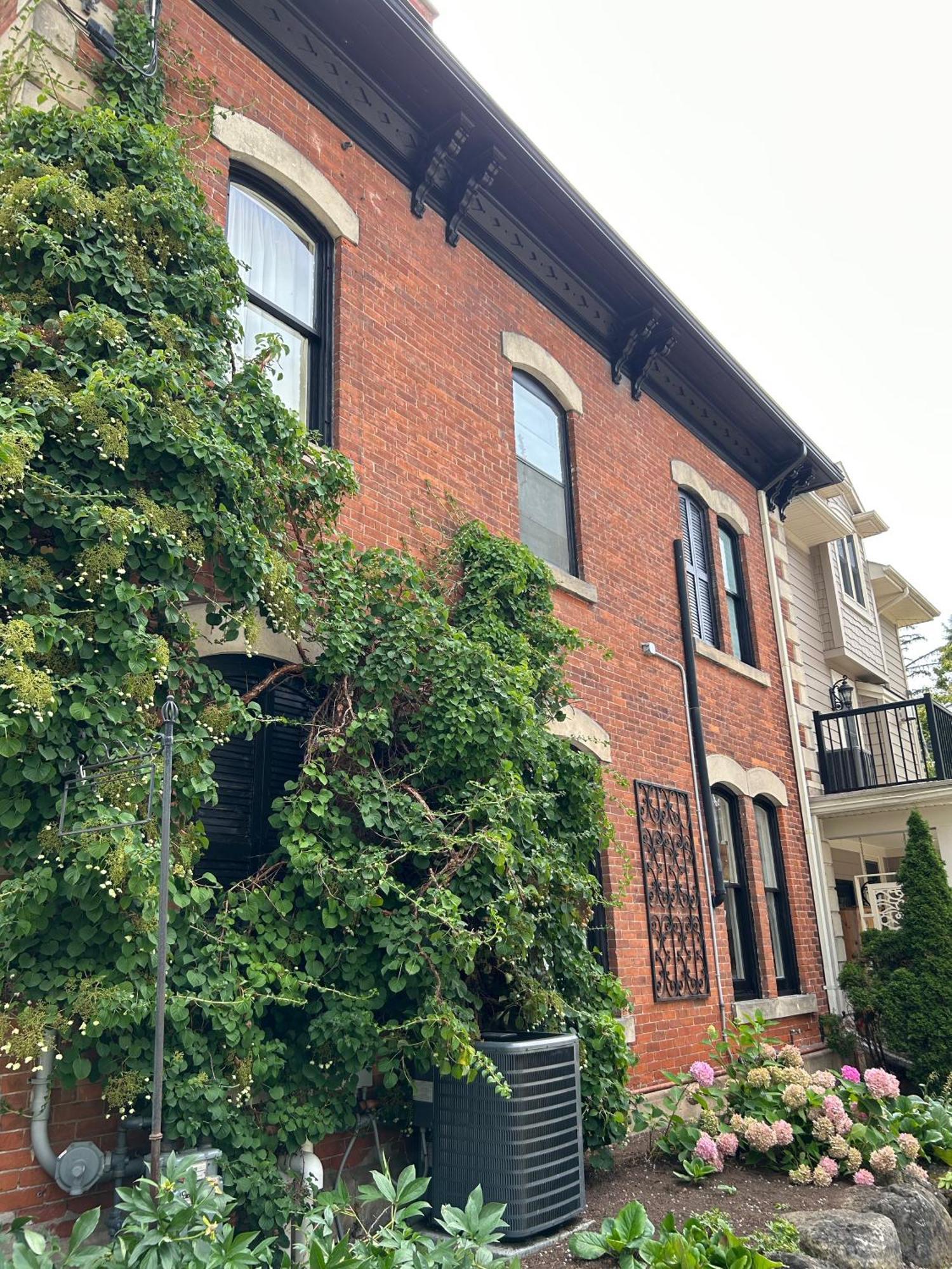 Norfolk Guest House Inn グエルフ エクステリア 写真