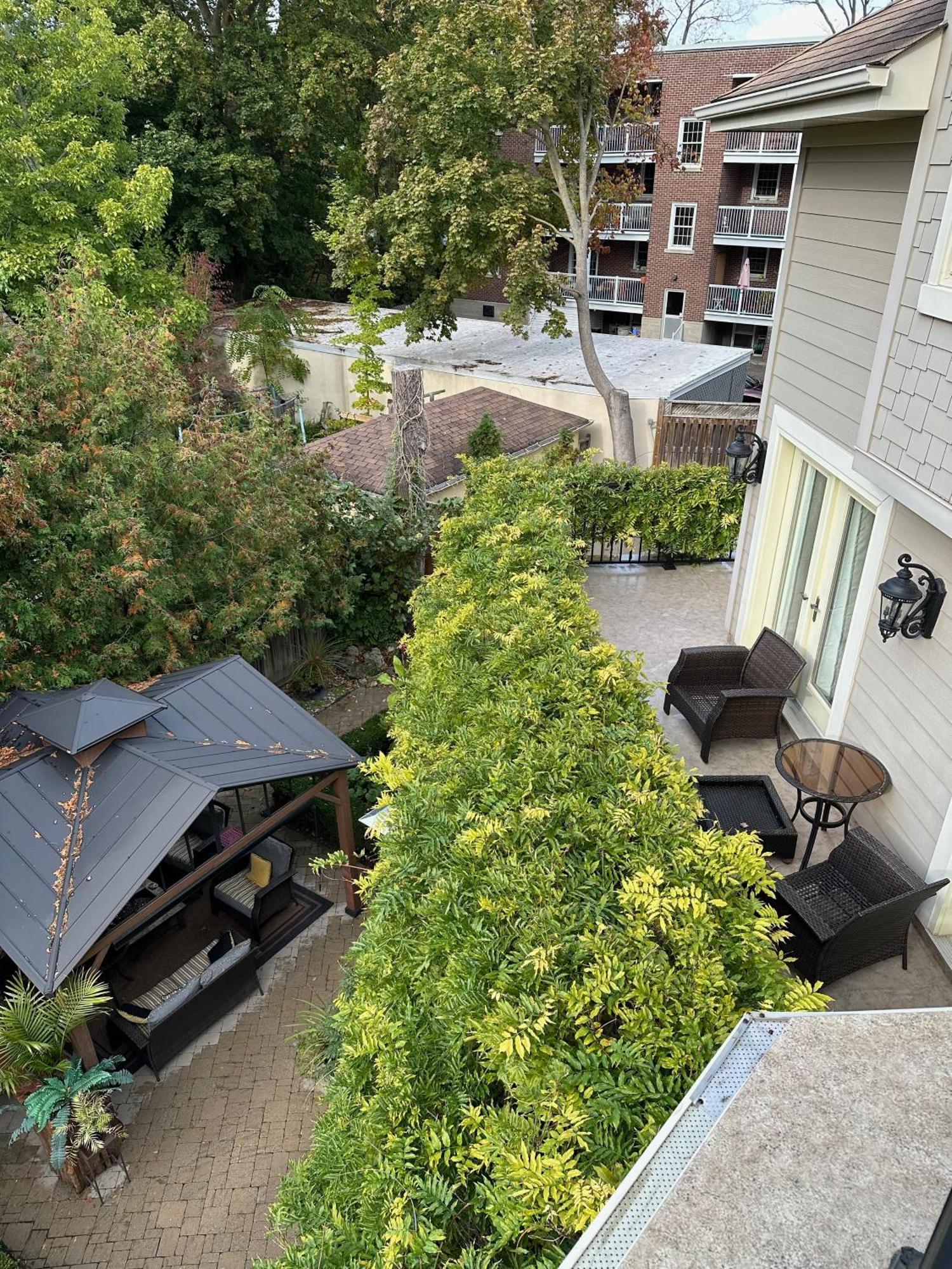 Norfolk Guest House Inn グエルフ エクステリア 写真
