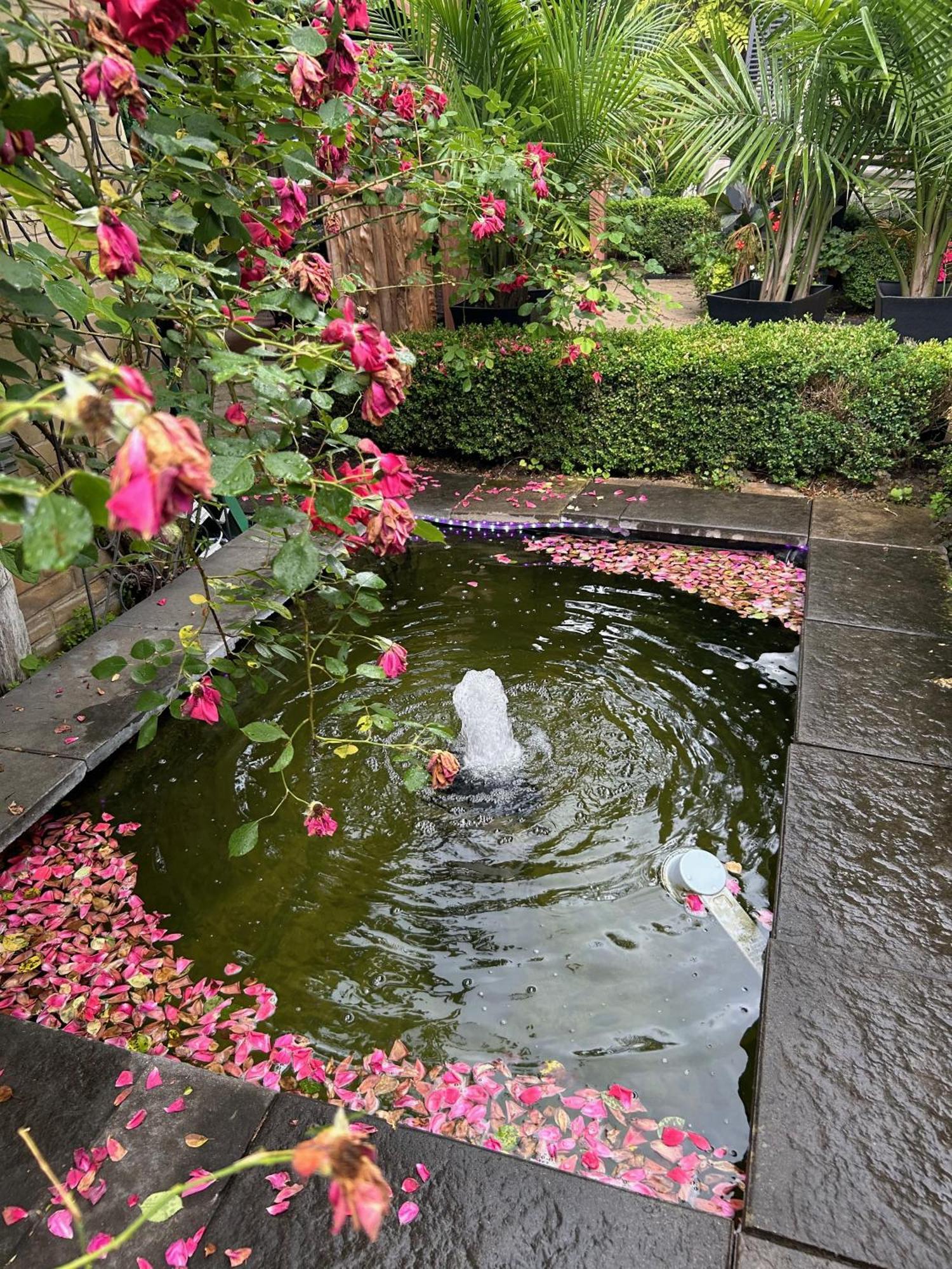 Norfolk Guest House Inn グエルフ エクステリア 写真