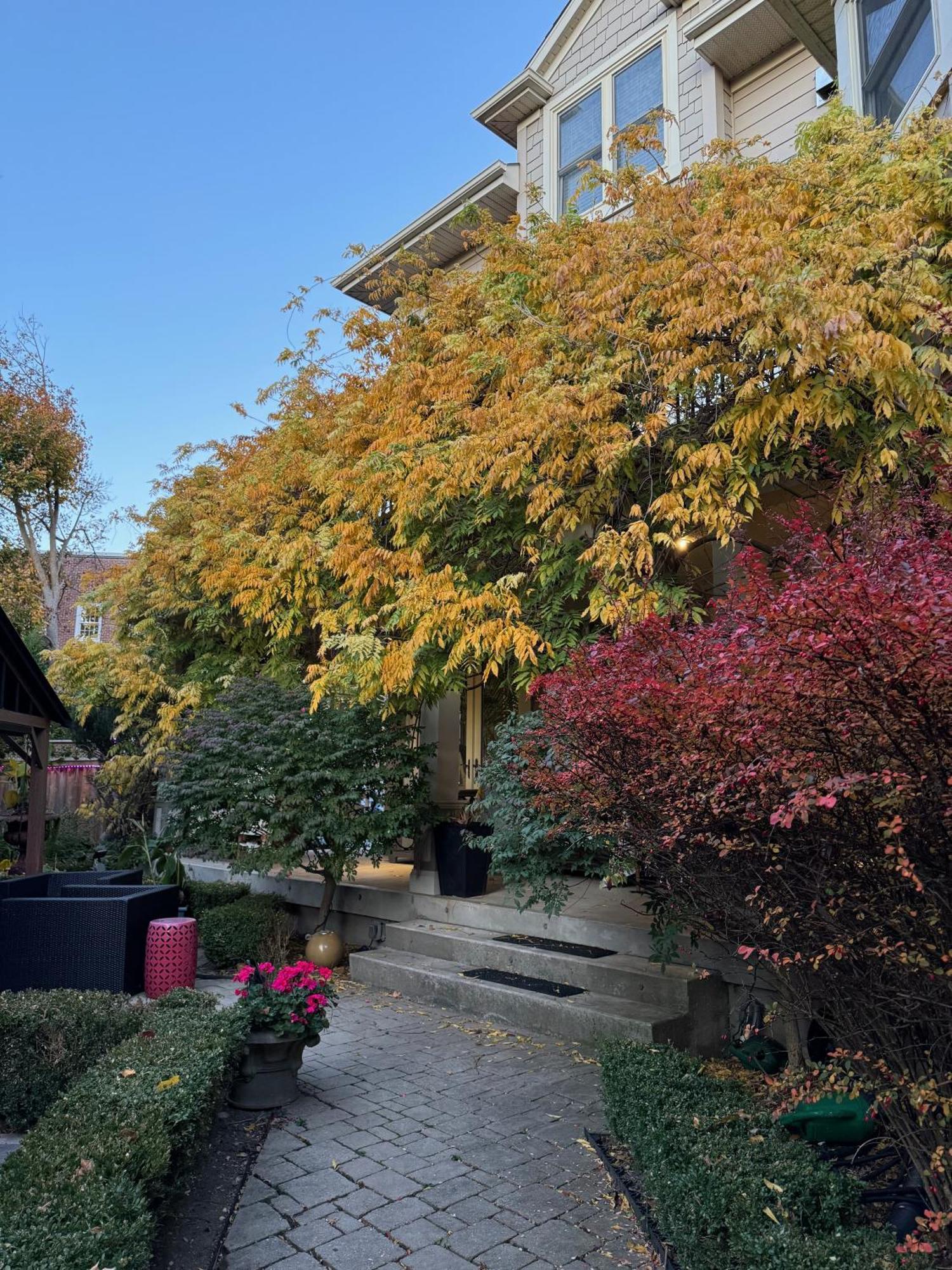 Norfolk Guest House Inn グエルフ エクステリア 写真